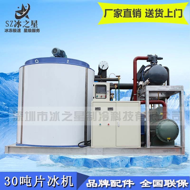 30噸大型工業(yè)片冰機